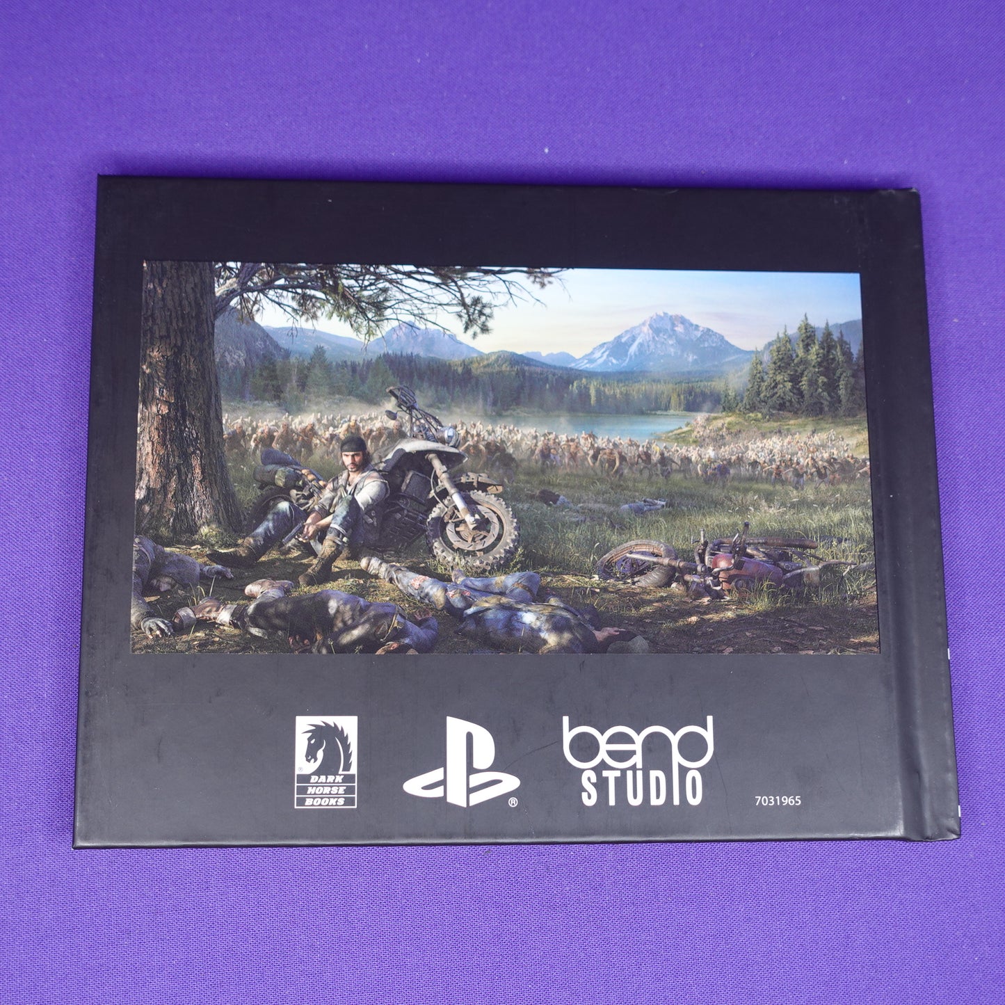 Days Gone // Special Edition