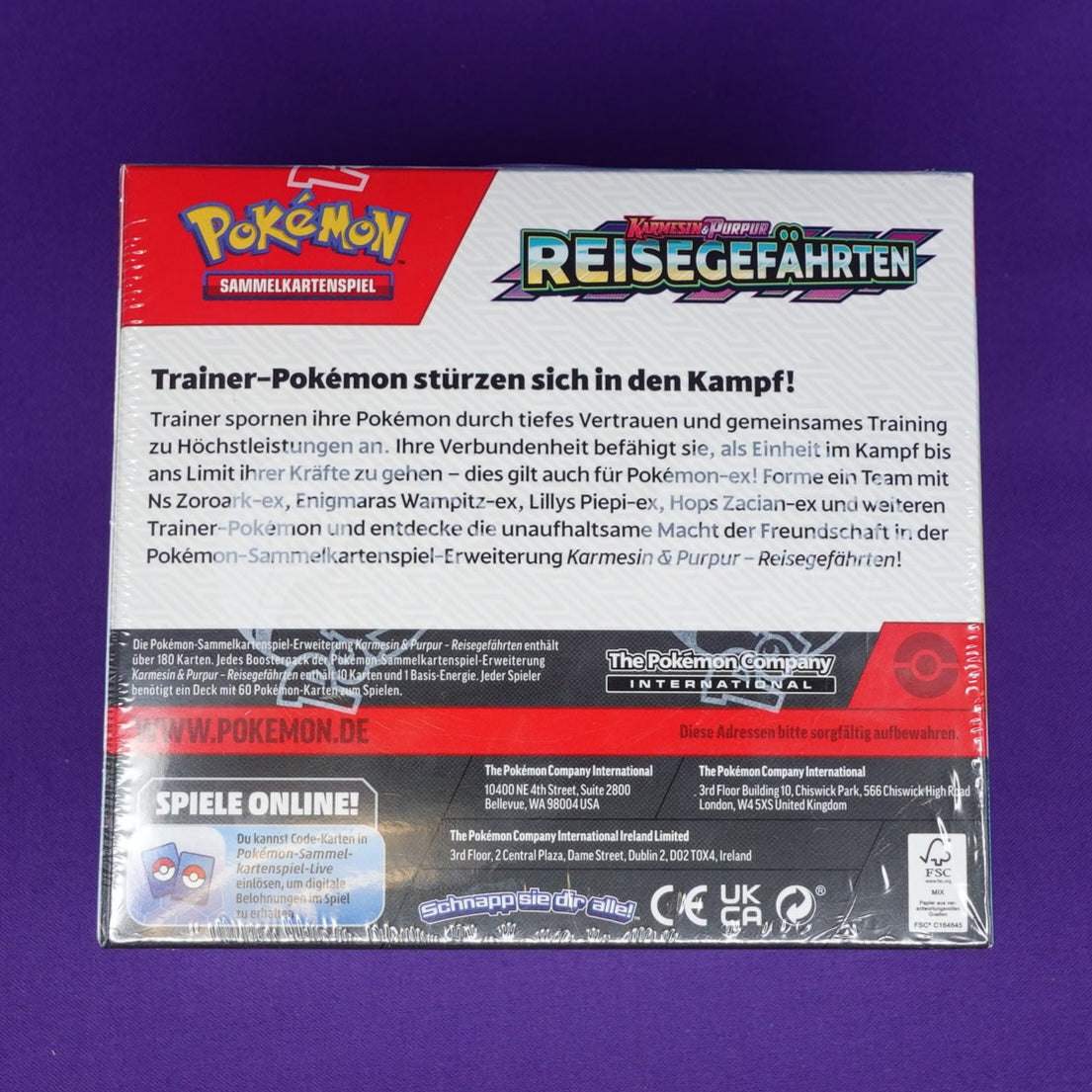 Pokémon // Reisegefährten // 36er Booster Display