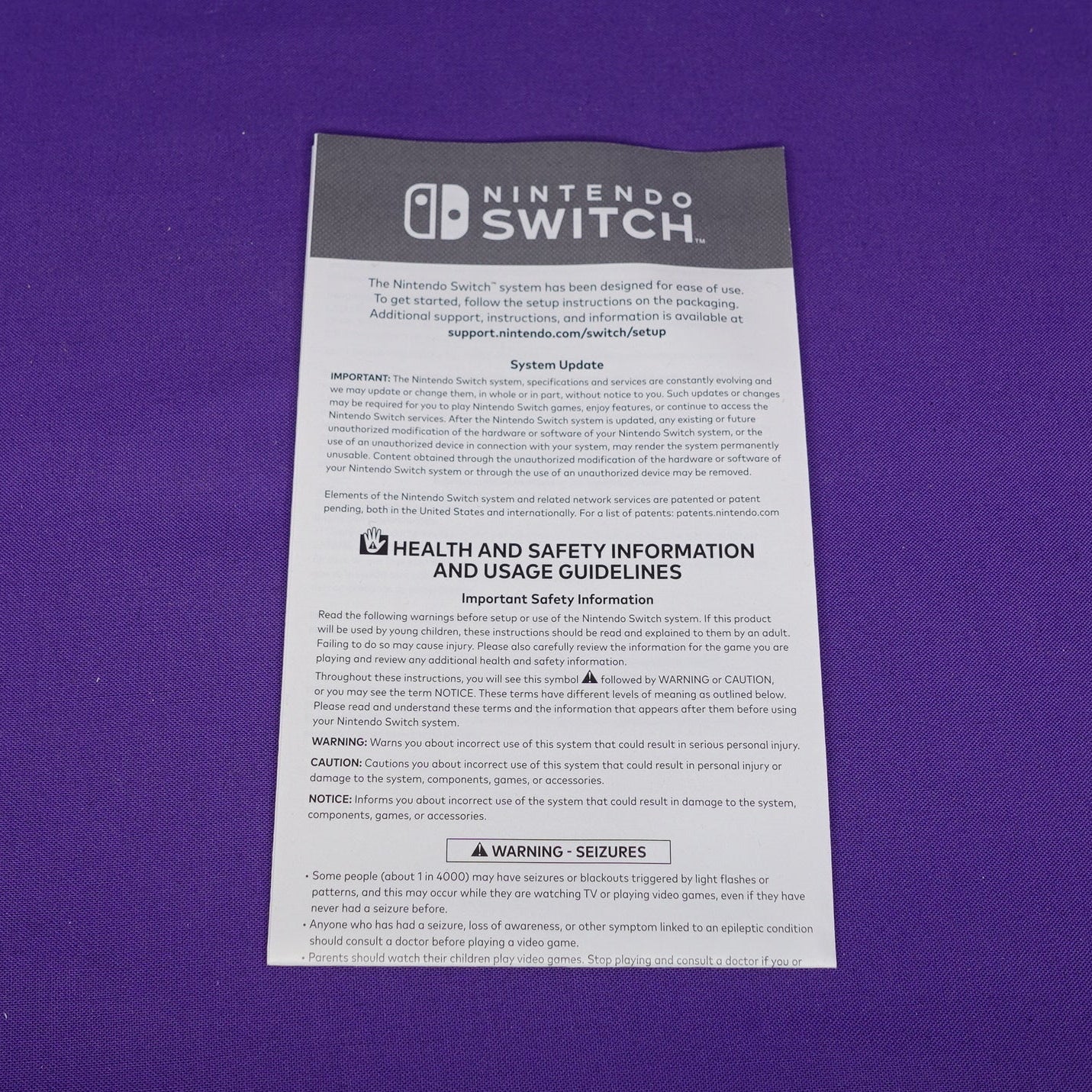 Nintendo Switch Lite // Zacian & Zamazenta Edition